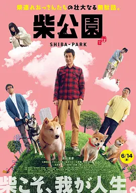 大婶家来了女明星