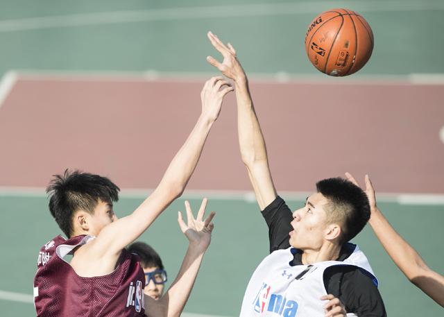 免费看三极片