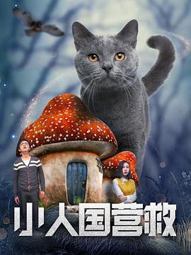 亚洲无吗视频