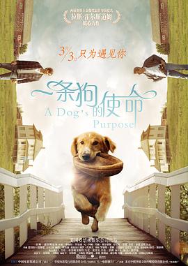 91视频最新地址