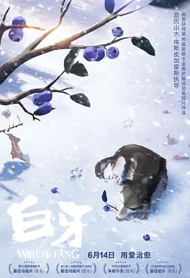 艾玛夫人