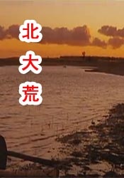 欧美一级久久久久久久大片动画