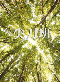 福利午夜电影