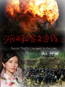 国产成人亚洲综合在线