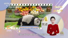 久久av中文